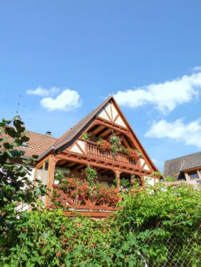 Maison charmante avec vue sur la montagne à Triembach-au-Val